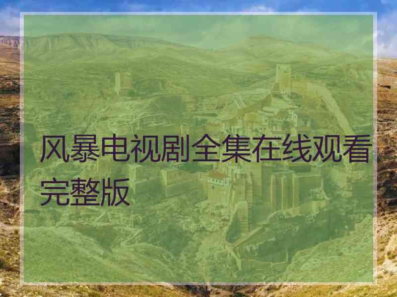 风暴电视剧全集在线观看完整版