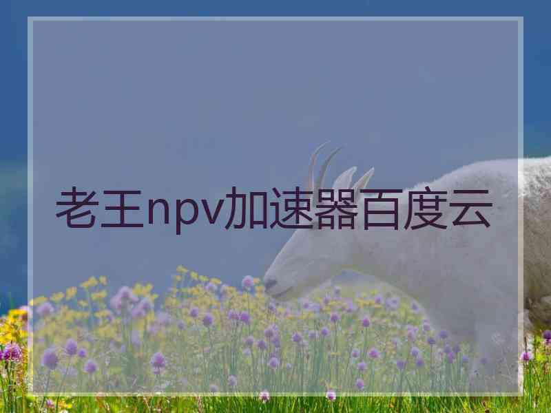 老王npv加速器百度云