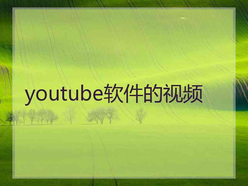 youtube软件的视频