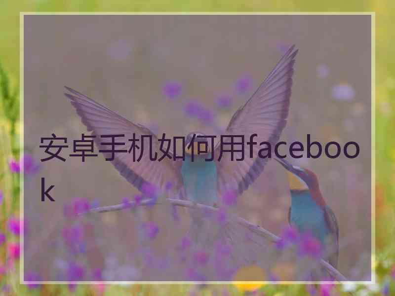 安卓手机如何用facebook