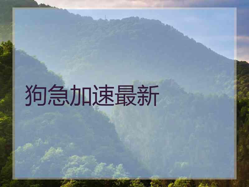 狗急加速最新