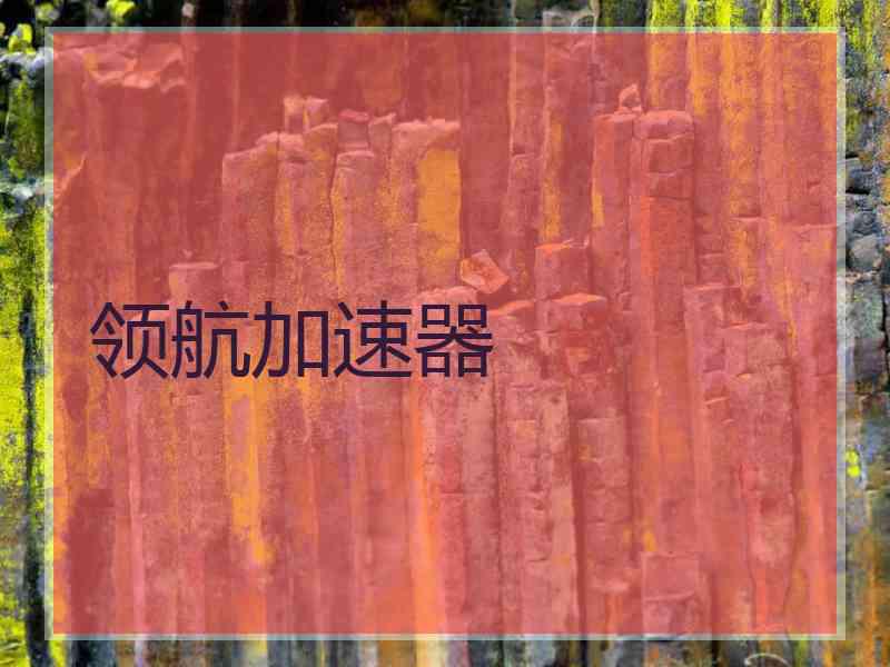 领航加速器