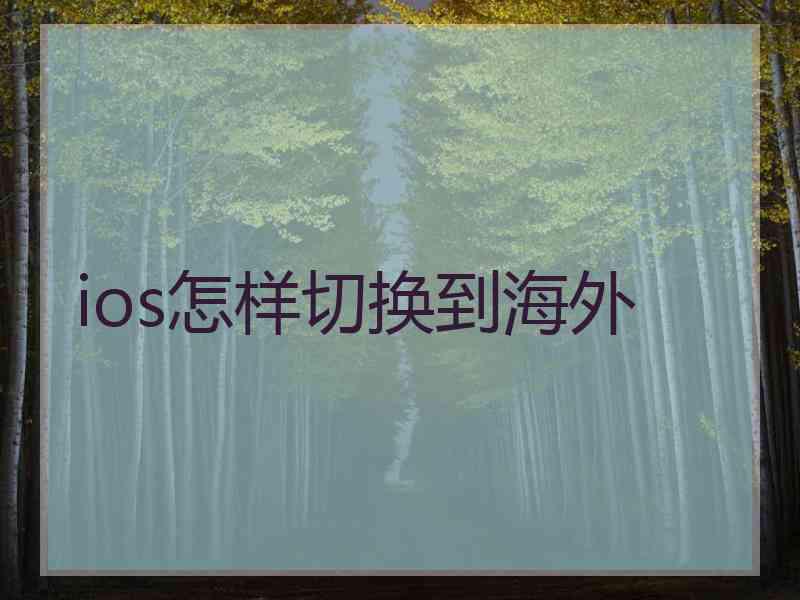 ios怎样切换到海外