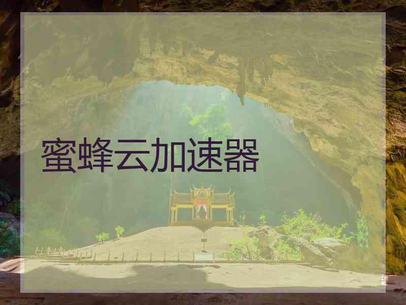 蜜蜂云加速器