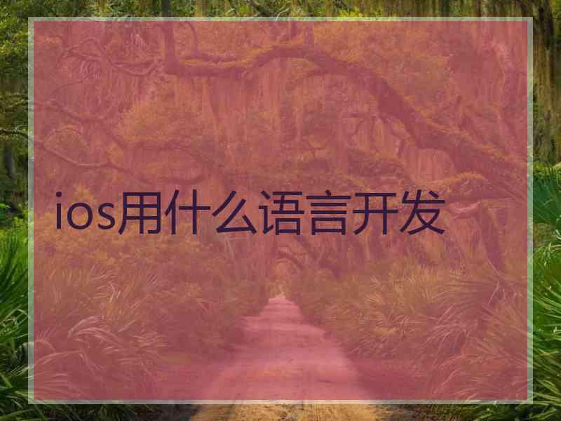 ios用什么语言开发