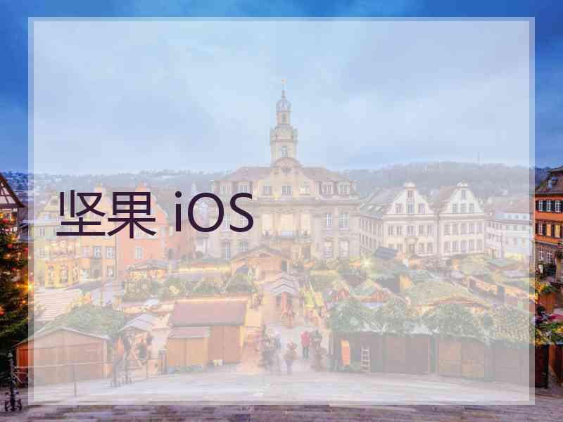 坚果 iOS