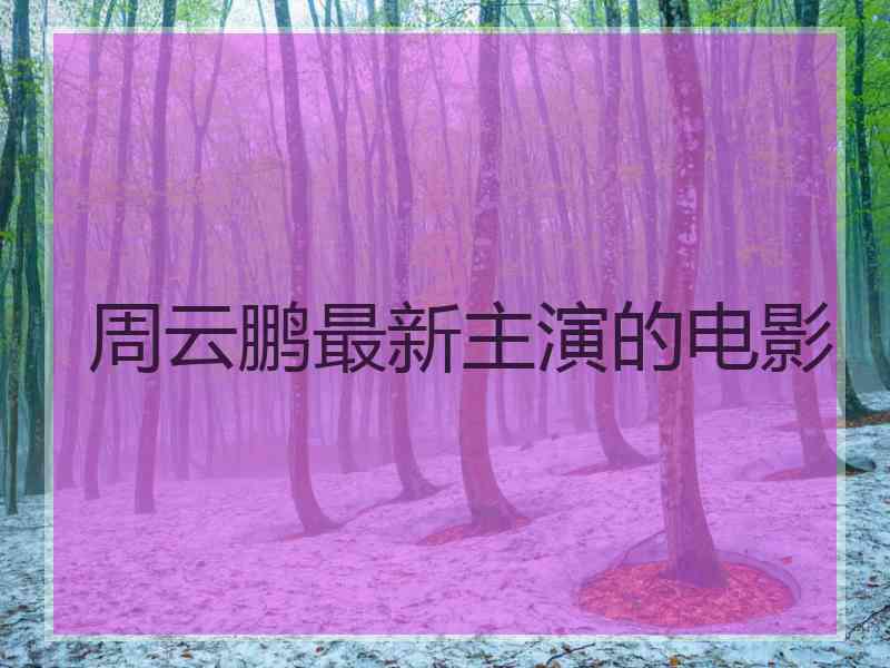 周云鹏最新主演的电影