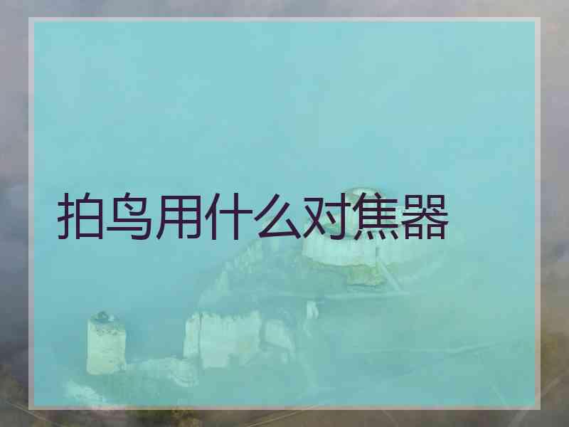 拍鸟用什么对焦器