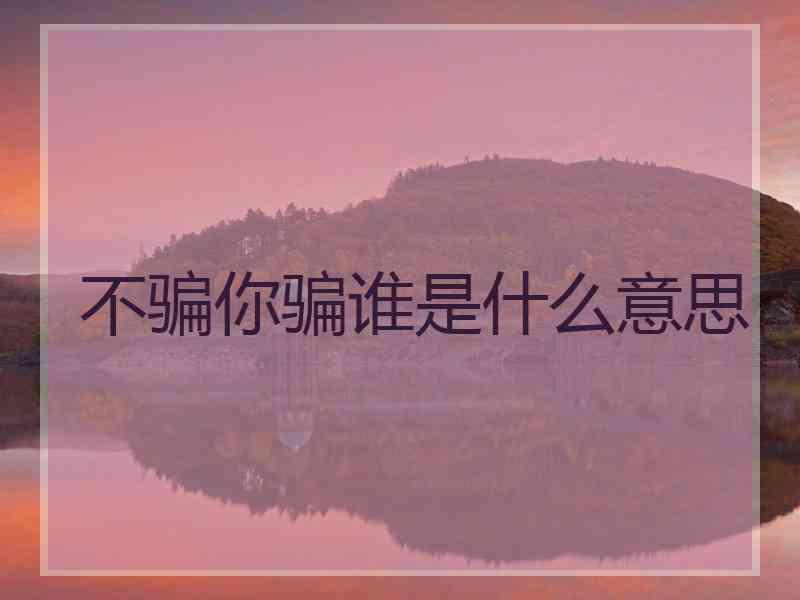 不骗你骗谁是什么意思