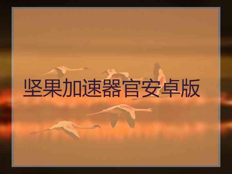 坚果加速器官安卓版