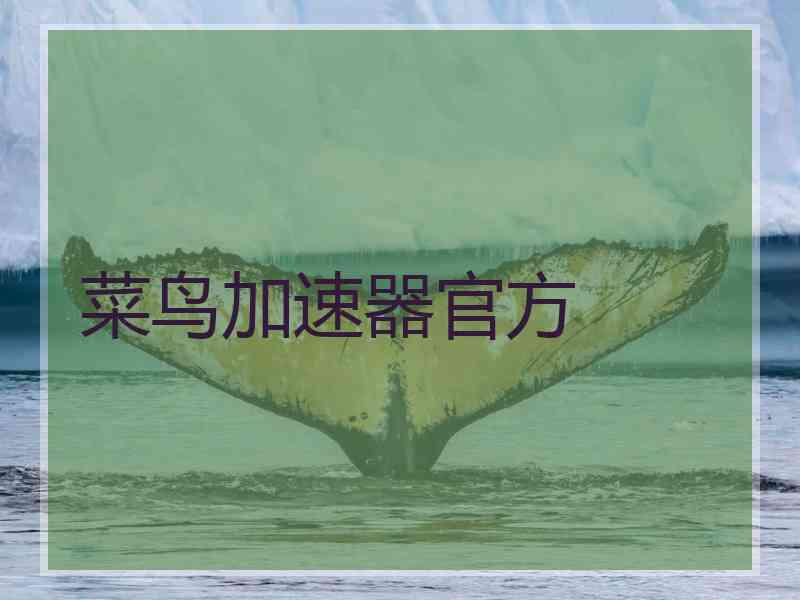菜鸟加速器官方