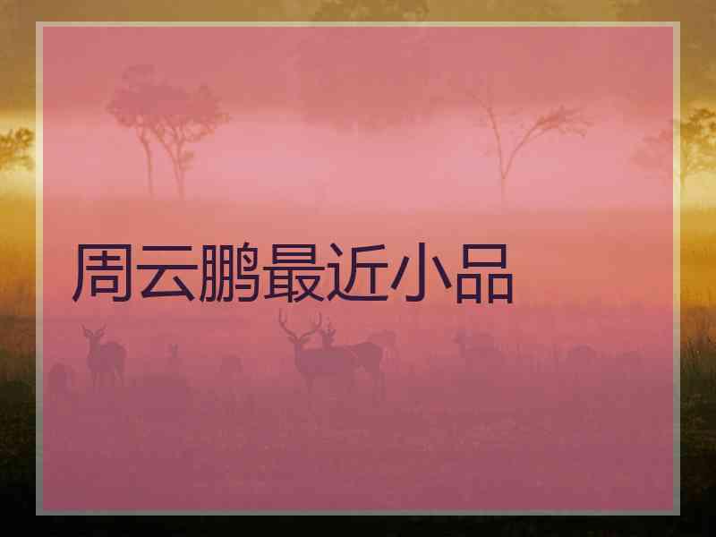 周云鹏最近小品