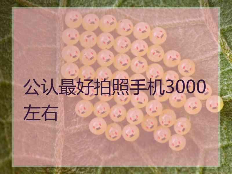 公认最好拍照手机3000左右