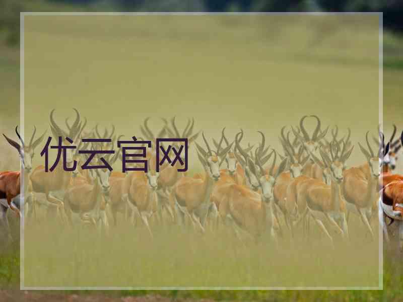 优云官网