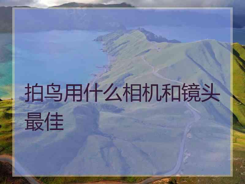 拍鸟用什么相机和镜头最佳