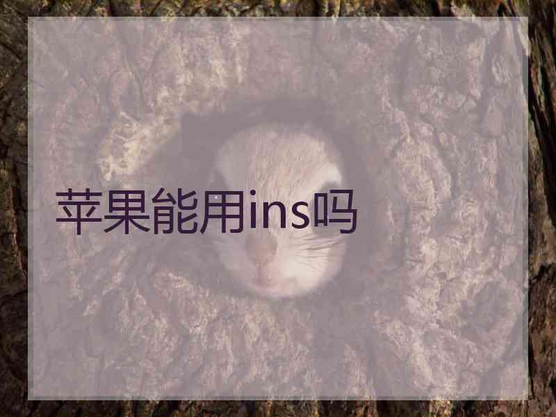 苹果能用ins吗
