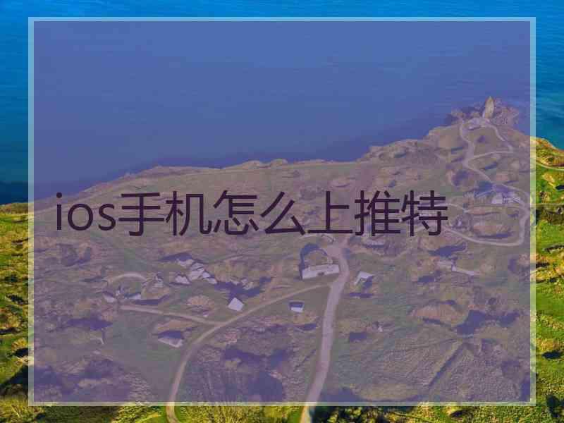 ios手机怎么上推特 ios手机怎么上推特