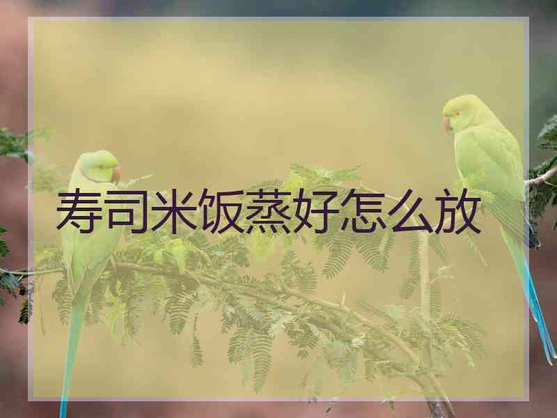 寿司米饭蒸好怎么放