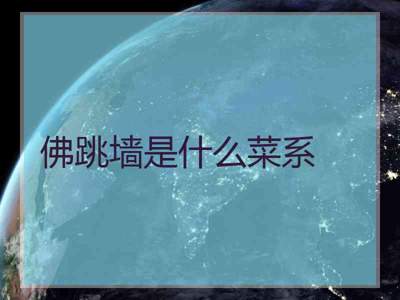 佛跳墙是什么菜系