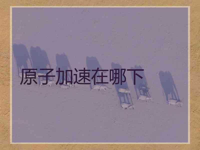 原子加速在哪下