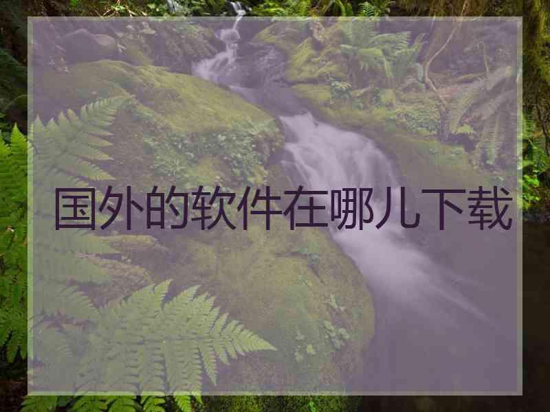 国外的软件在哪儿下载