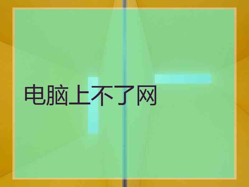 电脑上不了网