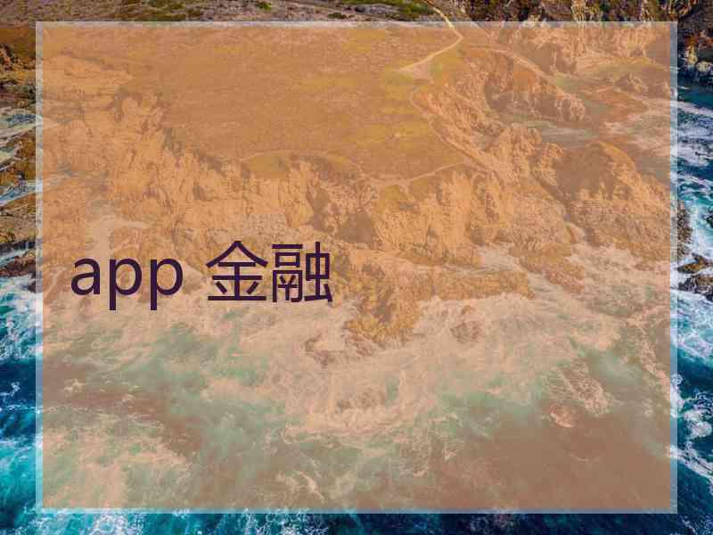 app 金融