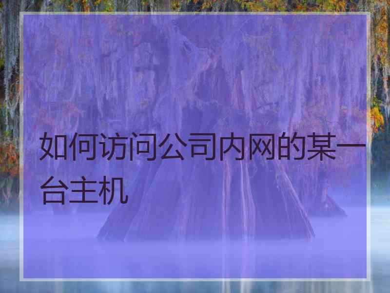 如何访问公司内网的某一台主机