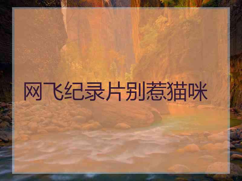 网飞纪录片别惹猫咪