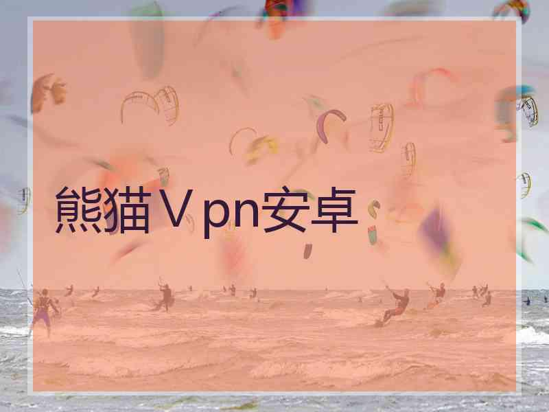 熊猫Ⅴpn安卓