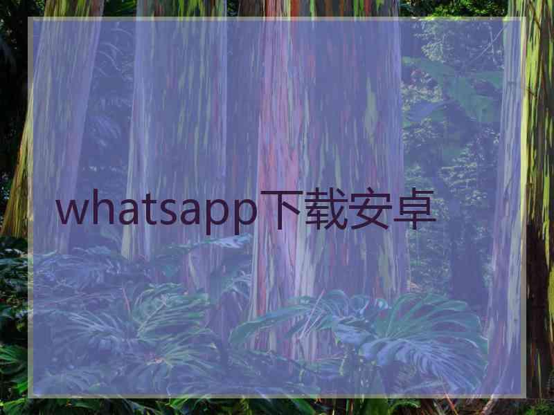 whatsapp下载安卓