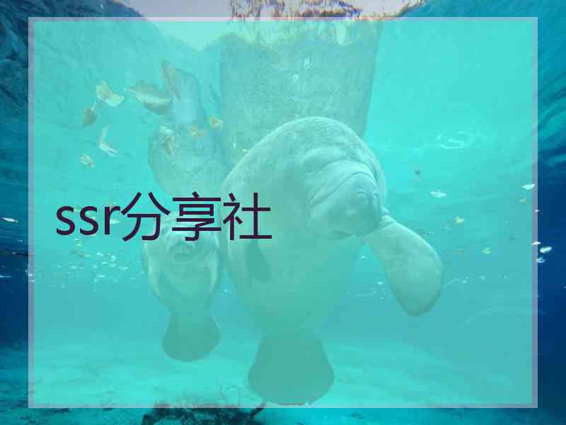 ssr分享社
