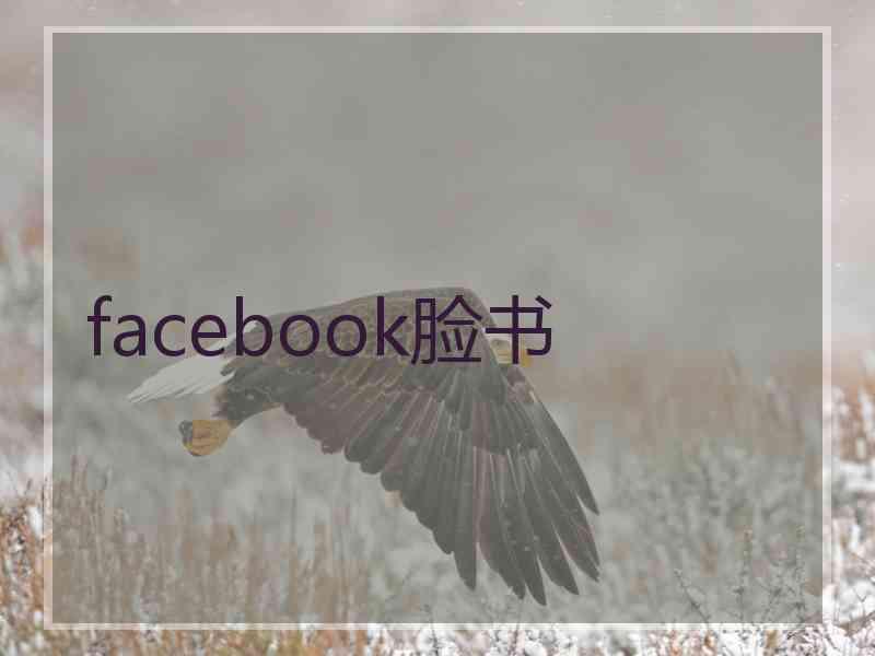 facebook脸书