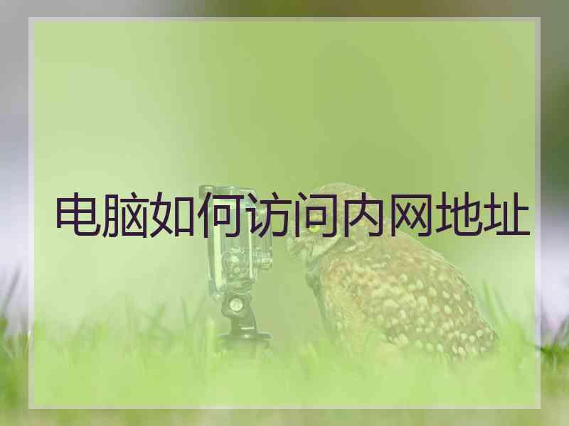 电脑如何访问内网地址