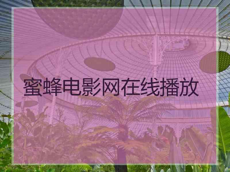 蜜蜂电影网在线播放