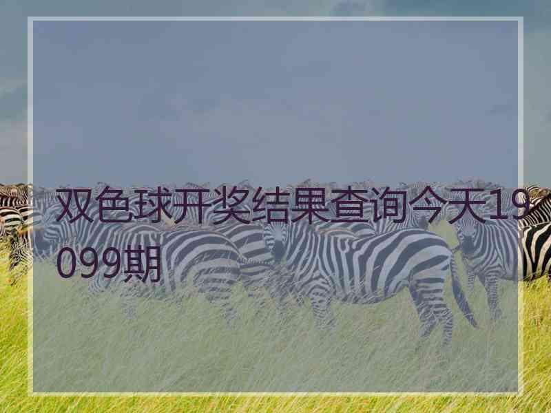 双色球开奖结果查询今天19099期